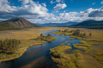 Aursen Marshes